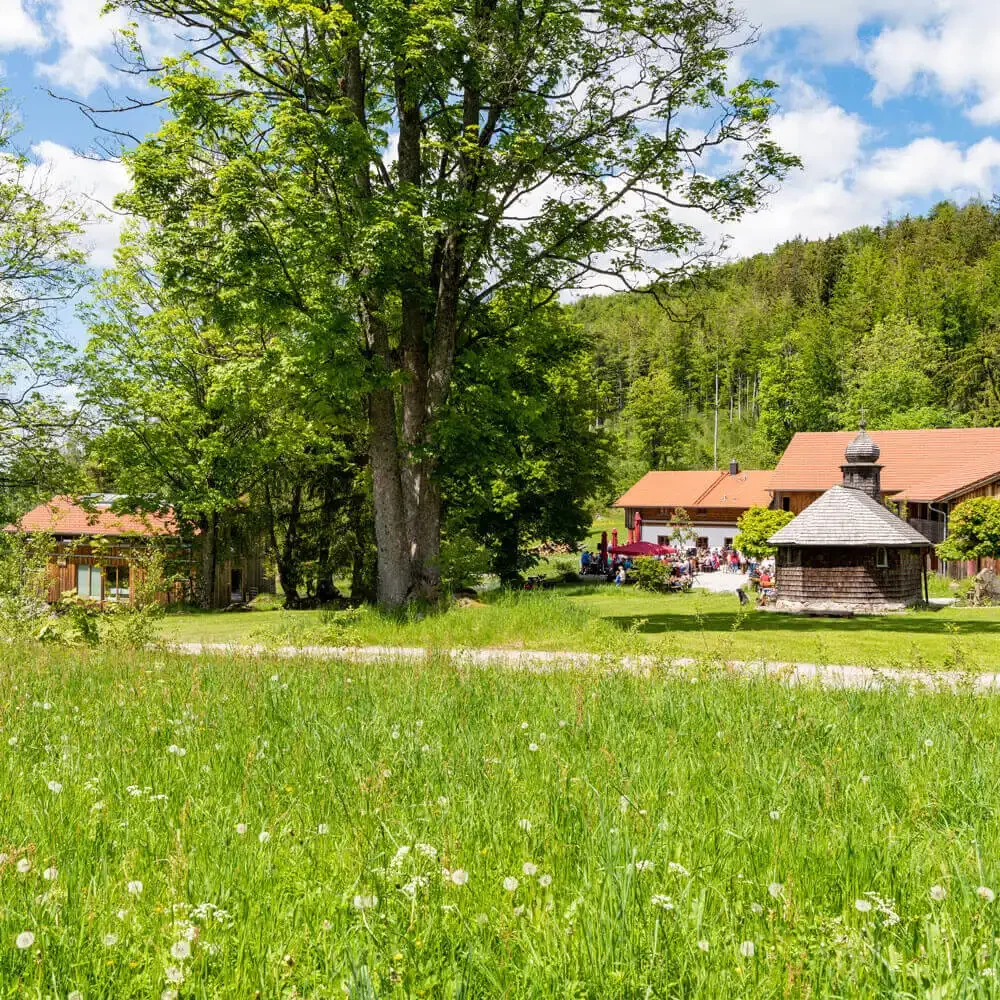 bergparadies-harlachberg.webp